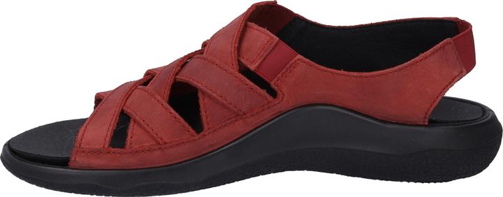 Actual product image Westland 18306-348 (39)