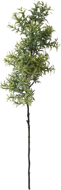 Produktbild HTI-Living Rosmarinzweig 60 cm Kunstpflanze (60 cm)
