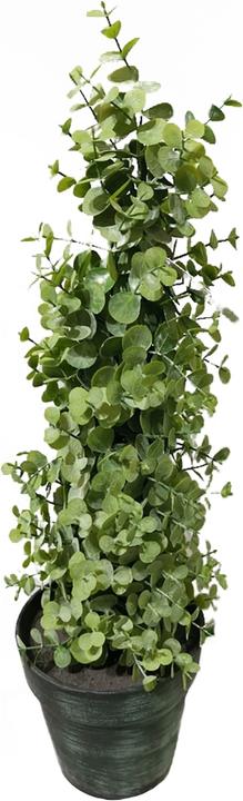 HTI-Living Eucalyptus Tree 53 cm Artificial Plant (53 cm)