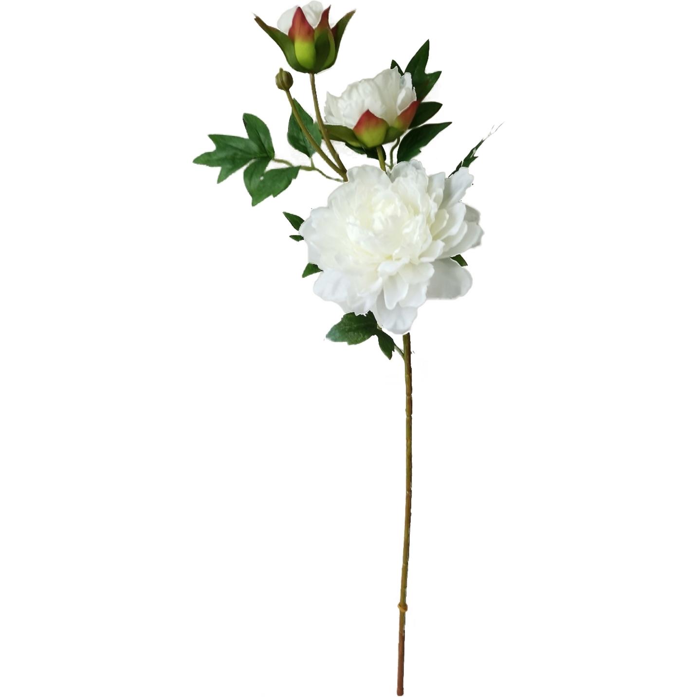 HTI-Living, Kunstpflanzen, Pfingstrose Weiss 74 cm Kunstblume (74 cm)