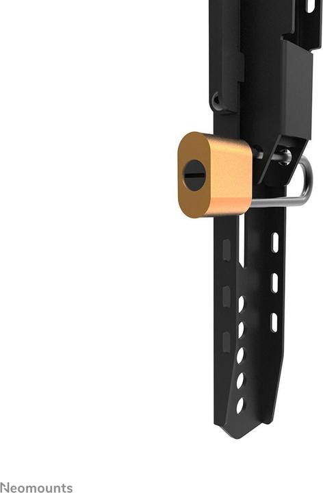 Actual product image Neomounts Wall bracket 600x400mm 125kg/42-86"/fix/black/heavy load (Wall, 125 kg, 42" - 86")