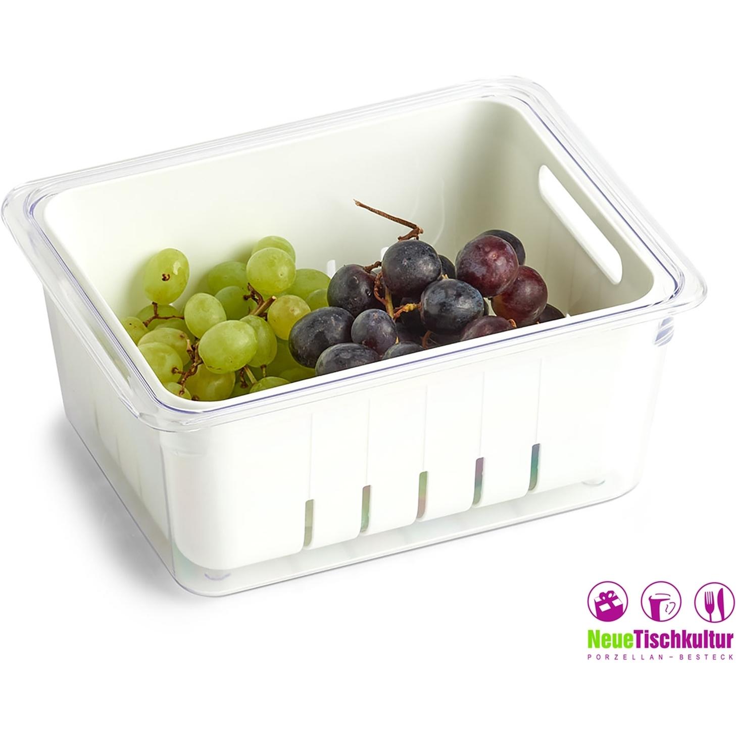 Thumbnail - neuetischkultur, Aufbewahrungsbox, Kühlschrank-Box (22.5 x 17.5 x 10 cm)