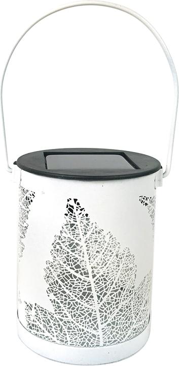 Actual product image HTI-Living Solar lantern leaf