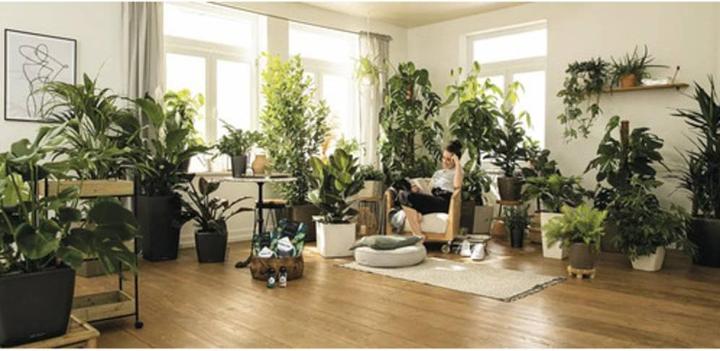 Produktbild Lechuza Pon (12 l)