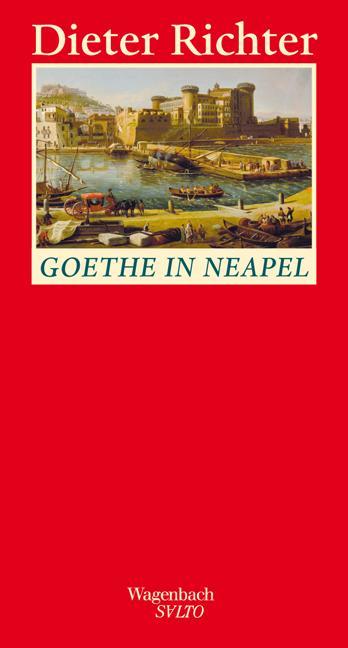 Produktbild Goethe in Neapel (Deutsch, Dieter Richter, 2012)