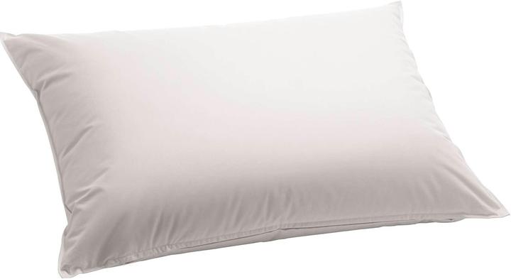 Produktbild Billerbeck Casa Nature (65 x 65 cm)
