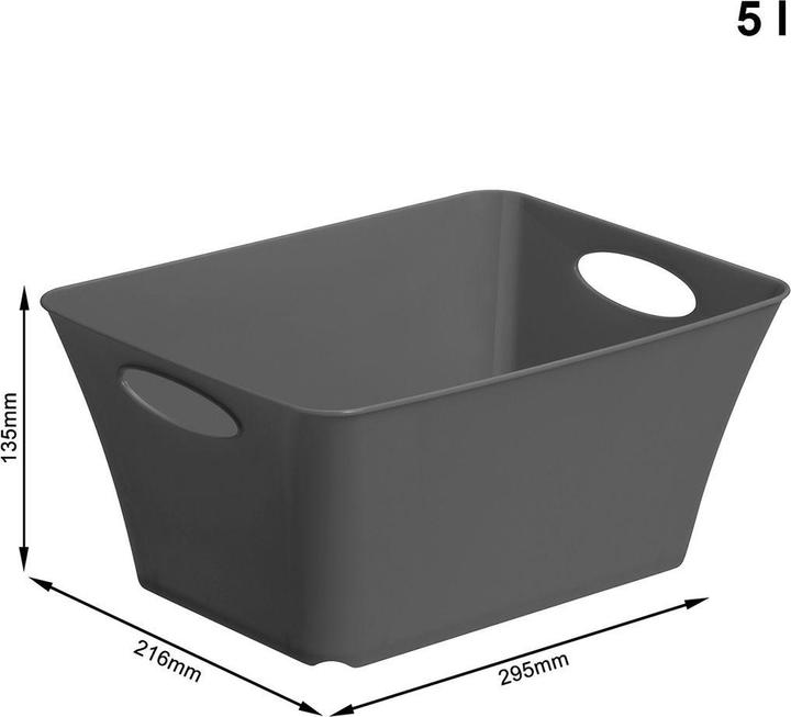 Image du produit Rotho Livingbox (21.6 x 13.5 x 29.5 cm, 5 l)