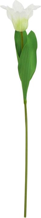 Produktbild Hill Interiors Kunstblume (67 cm)