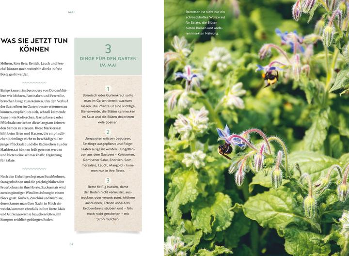 Image du produit Mon calendrier de jardinage 2025 (1 semaine / 2 pages)