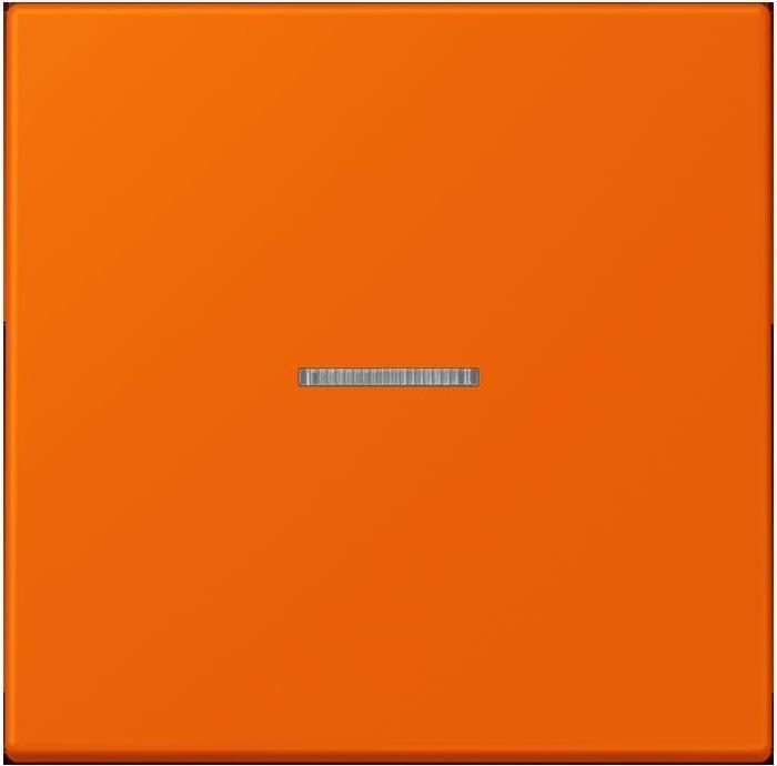 Produktbild JUNG Taster