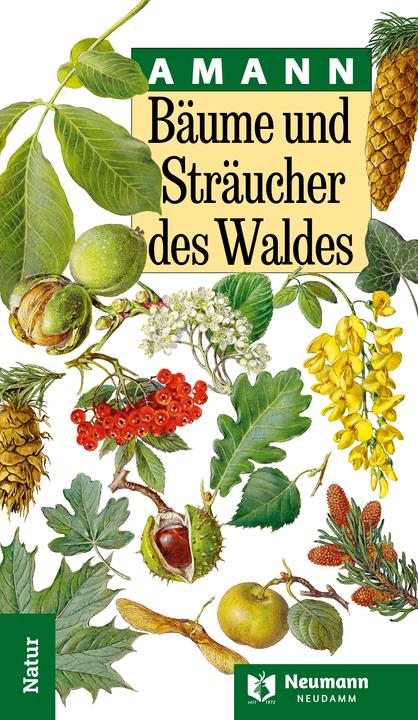 Produktbild Bume und Strucher des Waldes (Deutsch, Gottfried Amann, 2024)