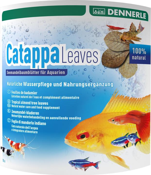 Image du produit Dennerle Feuilles d'AquaRico Catappa (Entretien de l'eau de l'aquarium)