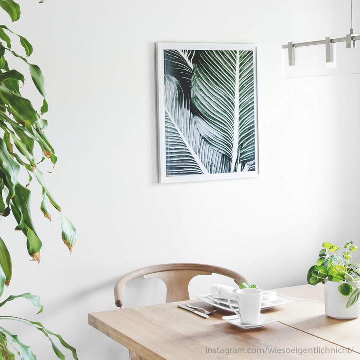 Image du produit Trenddeko Feuilles de palmier (30 x 40 cm)