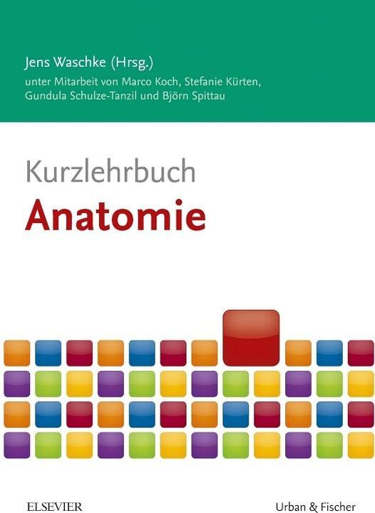 Produktbild Kurzlehrbuch Anatomie (Deutsch, 2017)