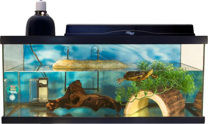 Zoo Med Thermo and hygrometer