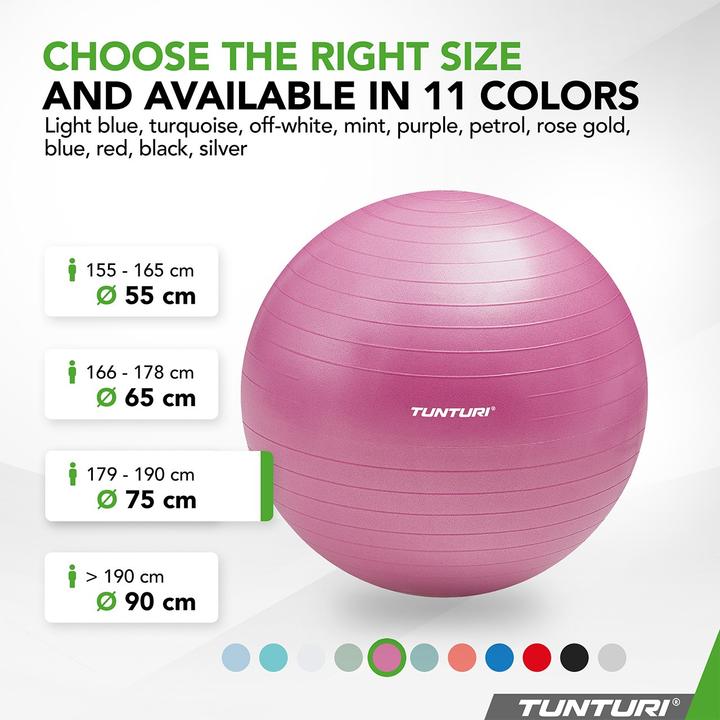 Immagine prodotto Tunturi Gym Ball - Fitnessball reissfest ABS 75 cm Violett (75 cm)