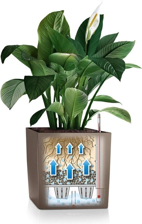 Productafbeelding Lechuza Kubus (39 x 39 x 40 cm)