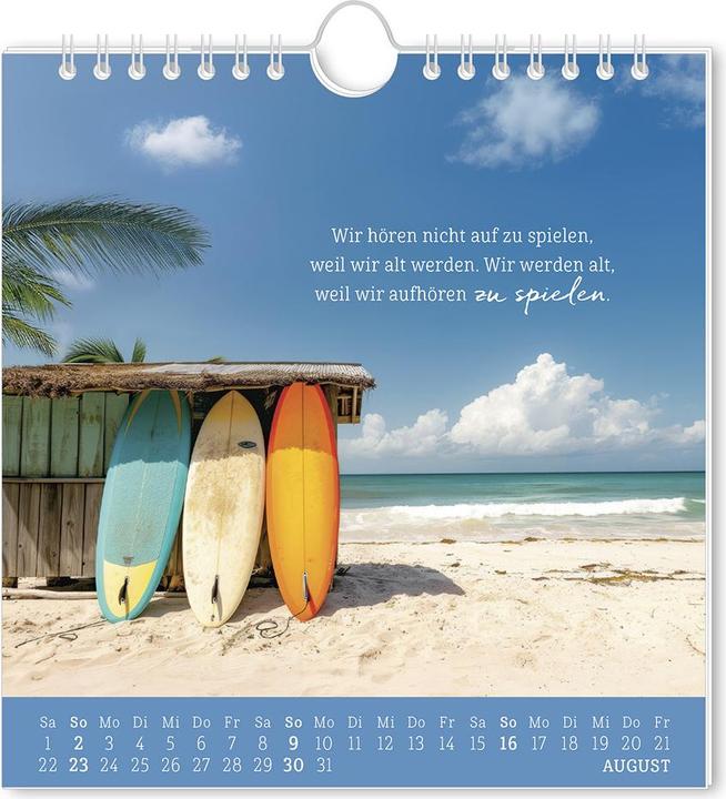Produktbild Postkartenkalender 2026 Strandgut (16 x 17 cm)