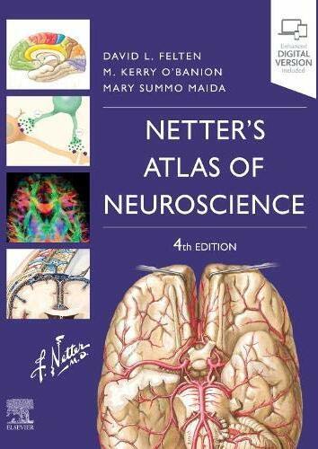 Immagine prodotto Netter's Atlas of Neuroscience (Inglese, David L. Felten, Michael K. O'Banion, Mary Summo Maida, 2021)