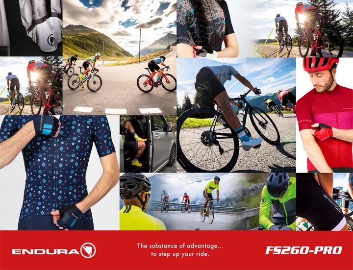 Image du produit Endura Maillot FS260-Pro Roubaix (L)