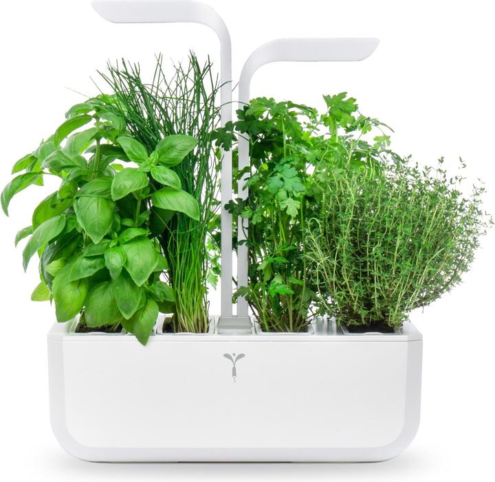 Image du produit Véritable Classic (18.50 cm)
