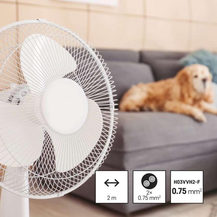 Immagine prodotto Emos Cavo di rete PVC 2x 0,75mm2, interruttore, 2m, bianco (2 m)