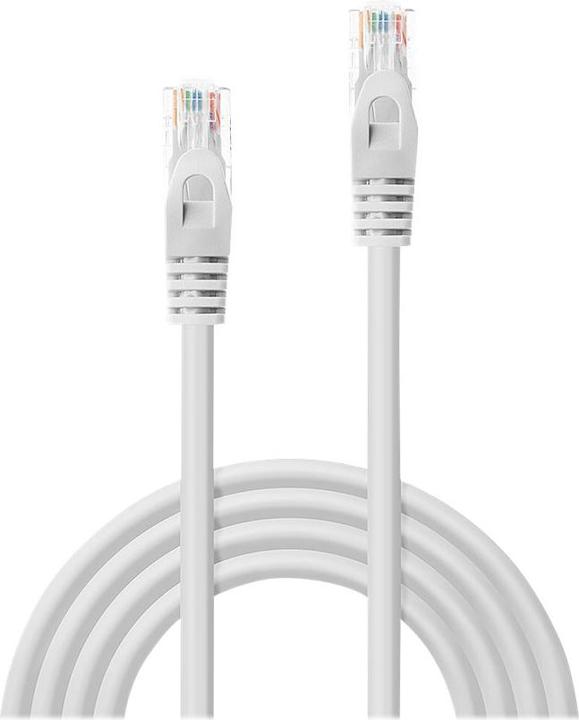 Image du produit Lindy Câble de réseau (U/UTP, CAT6, 0.30 m)