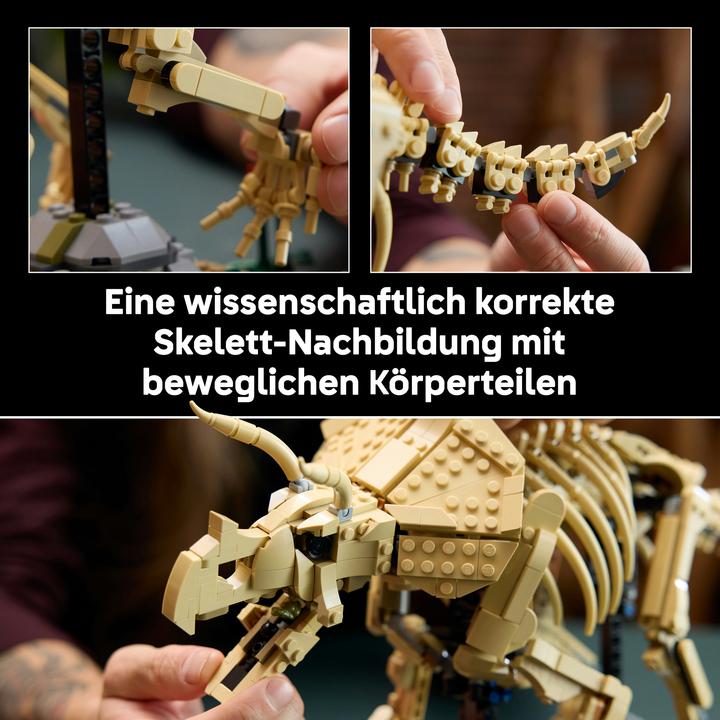 Produktbild LEGO Dinosaurier-Fossilien: Triceratops (77985, LEGO Jurassic World)