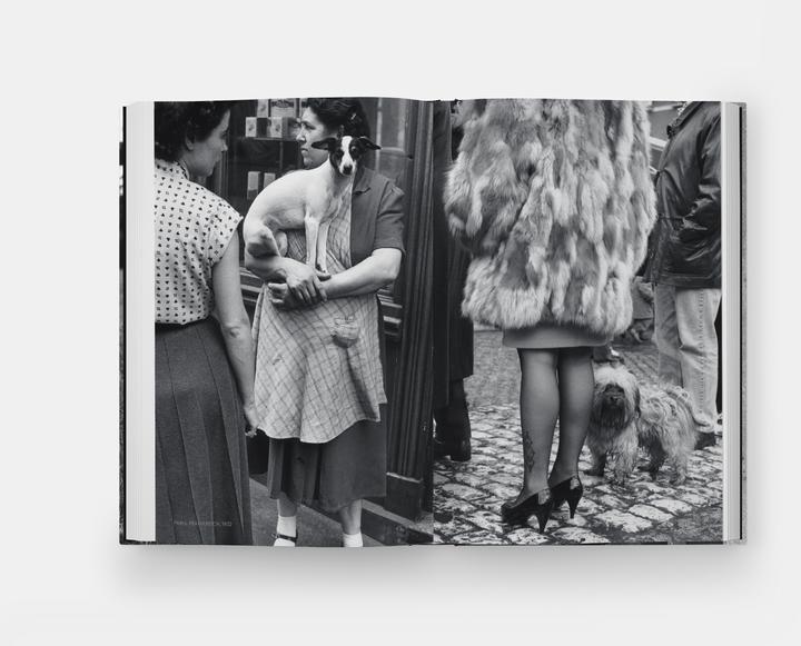 Immagine prodotto Hunde lieben