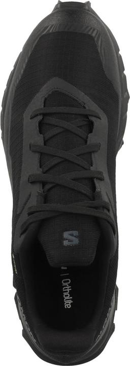 Image du produit Salomon Alphacross 5 GTX - 59879 (41 1/3)