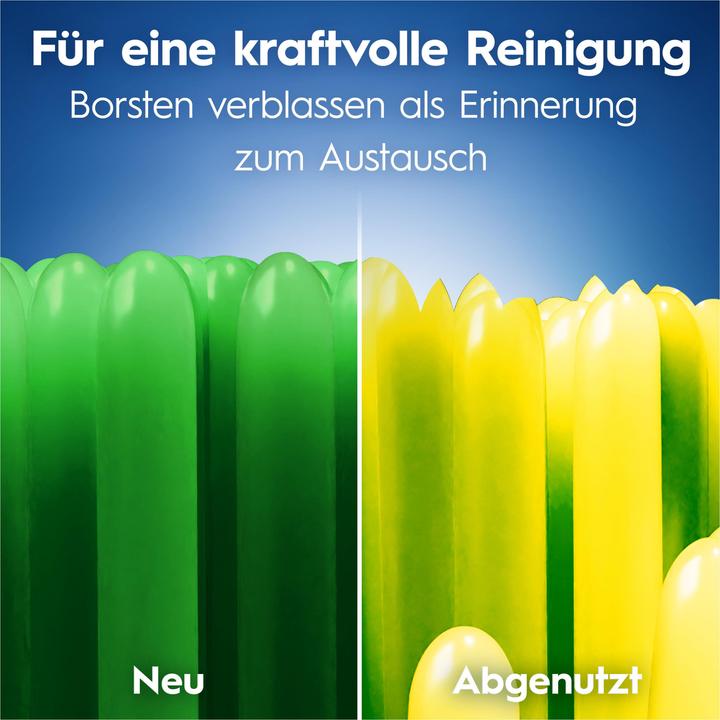 Image du produit Oral-B Pro-Clean 40 Medium 1ct Handzahnbürste (Moyen, 1 x)