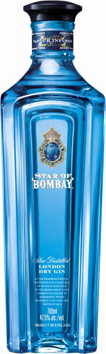 Produktbild Bombay Distilled London Dry Gin (1 x 70 cl)
