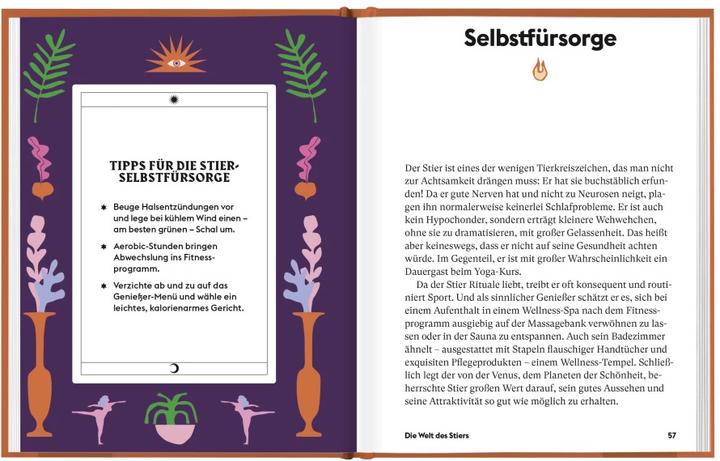 Image du produit Stier (Allemand, Stella Andromède, 2021)
