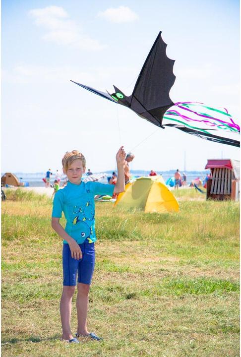 Actual product image Invento HQ 100040 Bat Black "L", Children's kite single line, from 5 years, 30x60cm, incl. 10kp polyester