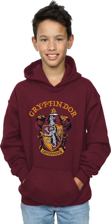 Actual product image Boys Gryffindor Crest Hoodie (104)