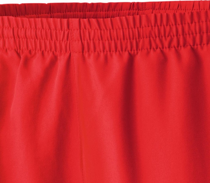Actual product image Erima Club 1900 Shorts (48)