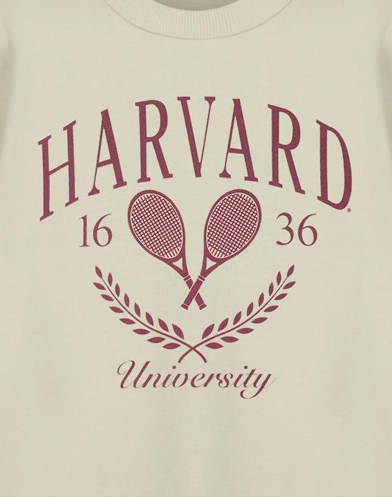 Produktbild Sweatshirt (L)