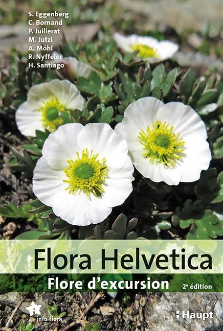 Immagine prodotto Flora Helvetica - Flore d'excursion (Francese, Adrian Möhl, Christophe Bornand, Helder Santiago, Michael Jutzi, Philippe Juillerat, Reto Nyffeler, Stefan Eggenberg, 2022)