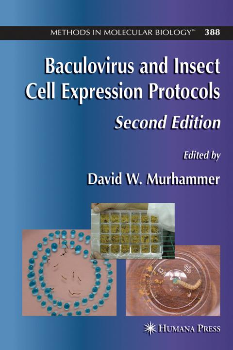 Produktbild Baculovirus and Insect Cell Expression Protocols (Englisch, David W. Murhammer, 2010)