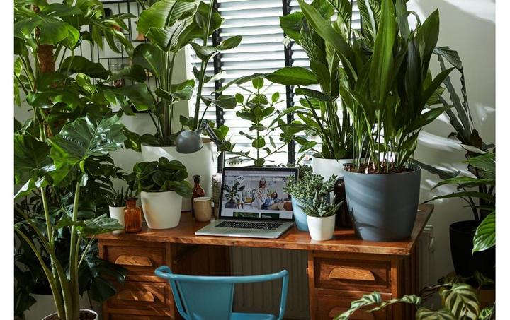 Produktbild Elho Brussels (14 x 13 cm)