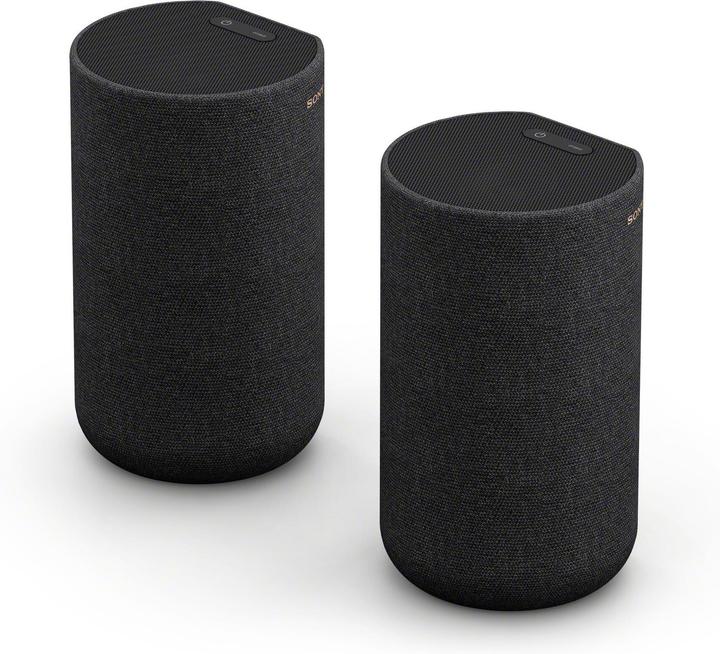 Sony SA-RS5 (1 paire, 180 W)