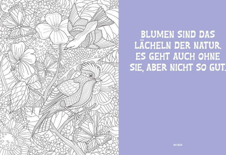 Produktbild Malbuch - Blumenwiese Mandala
