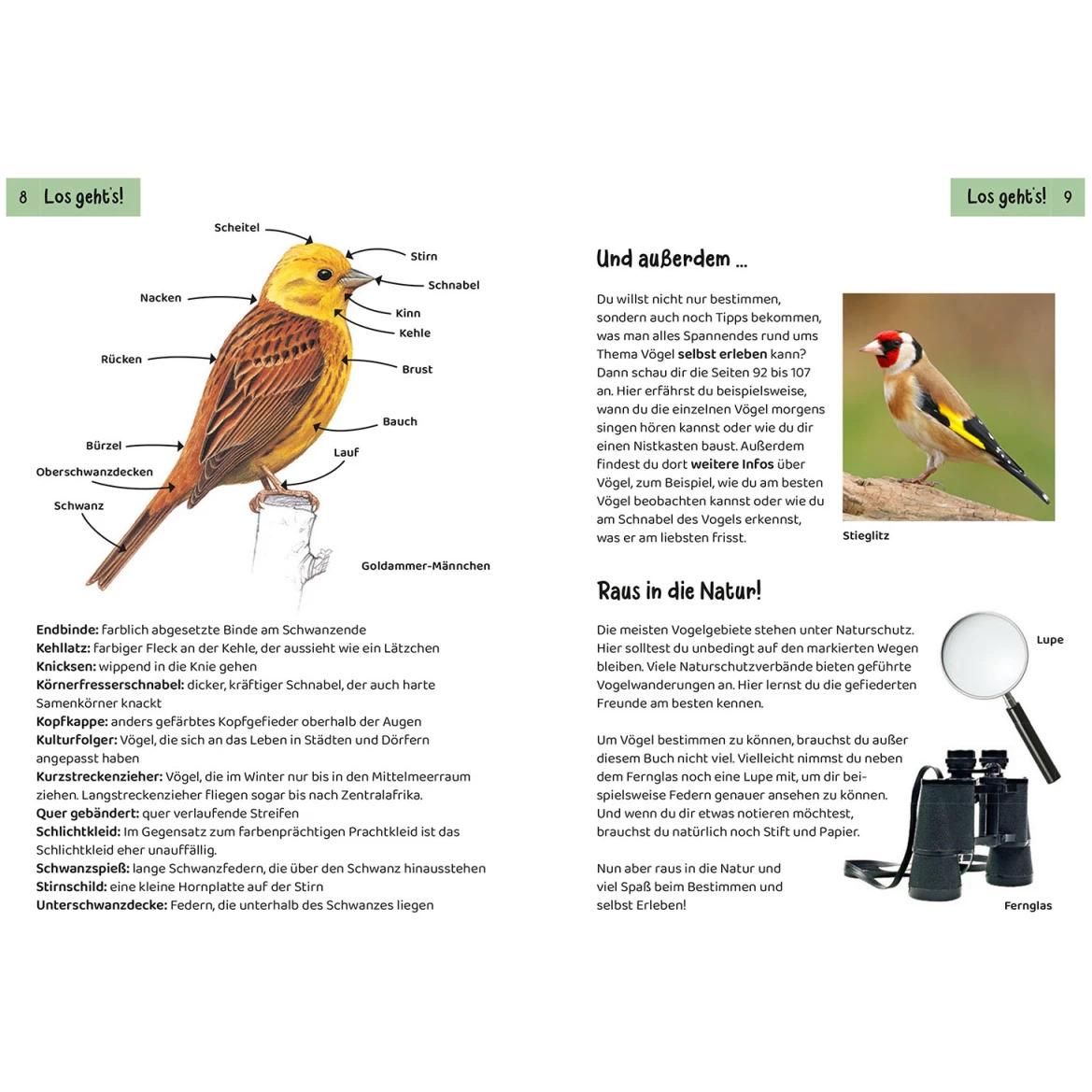 Thumbnail - Was fliegt denn da? Kindernaturführer, Kinderbücher von Holger Haag