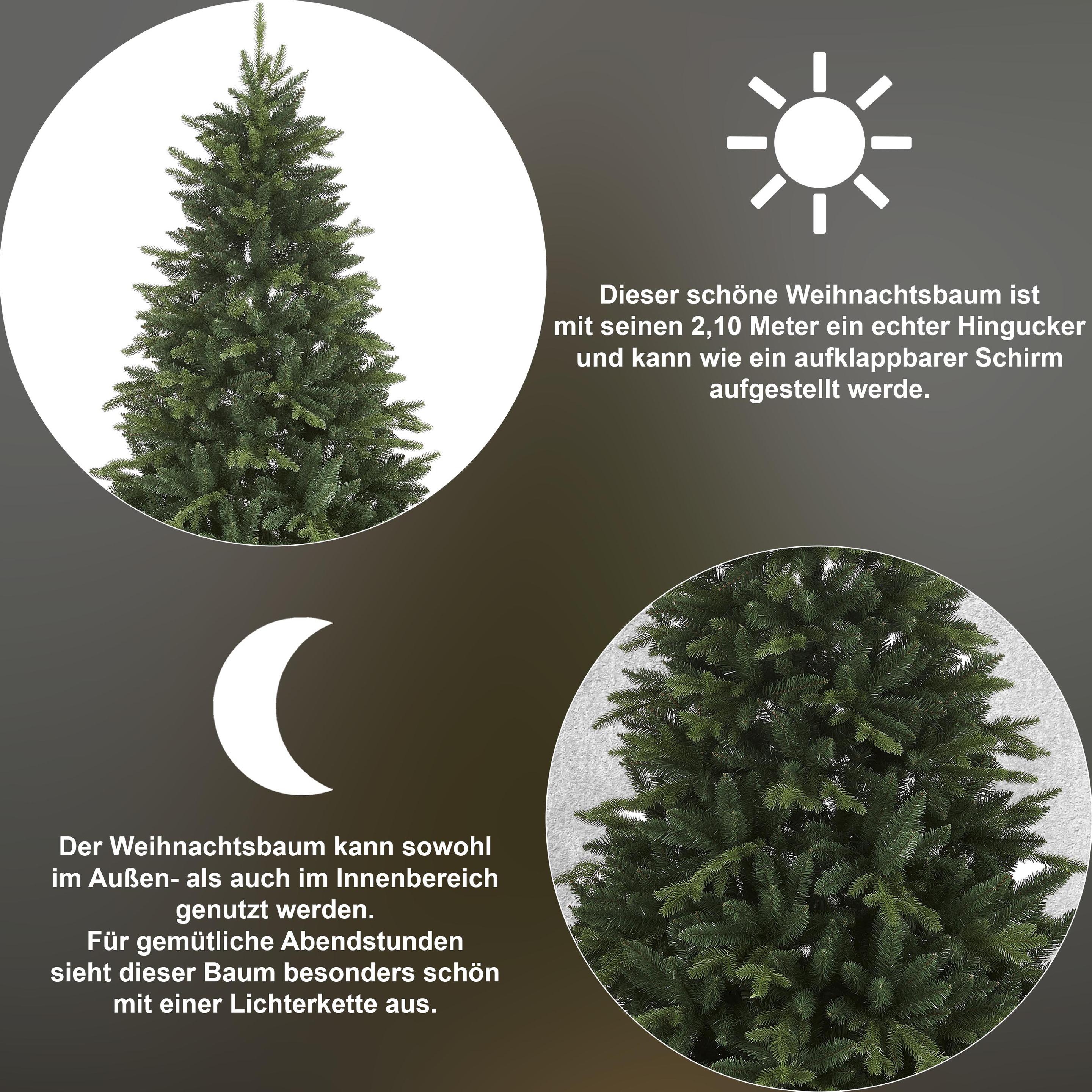 Thumbnail - Star Trading, Weihnachtsbaum, Bergen (210 cm)
