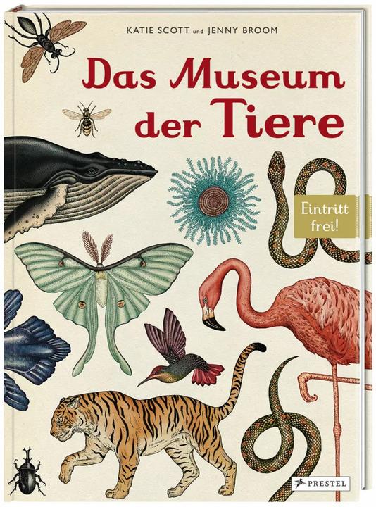 Produktbild Das Museum der Tiere (Deutsch, Jenny Broom, Katie Scott, 2014)