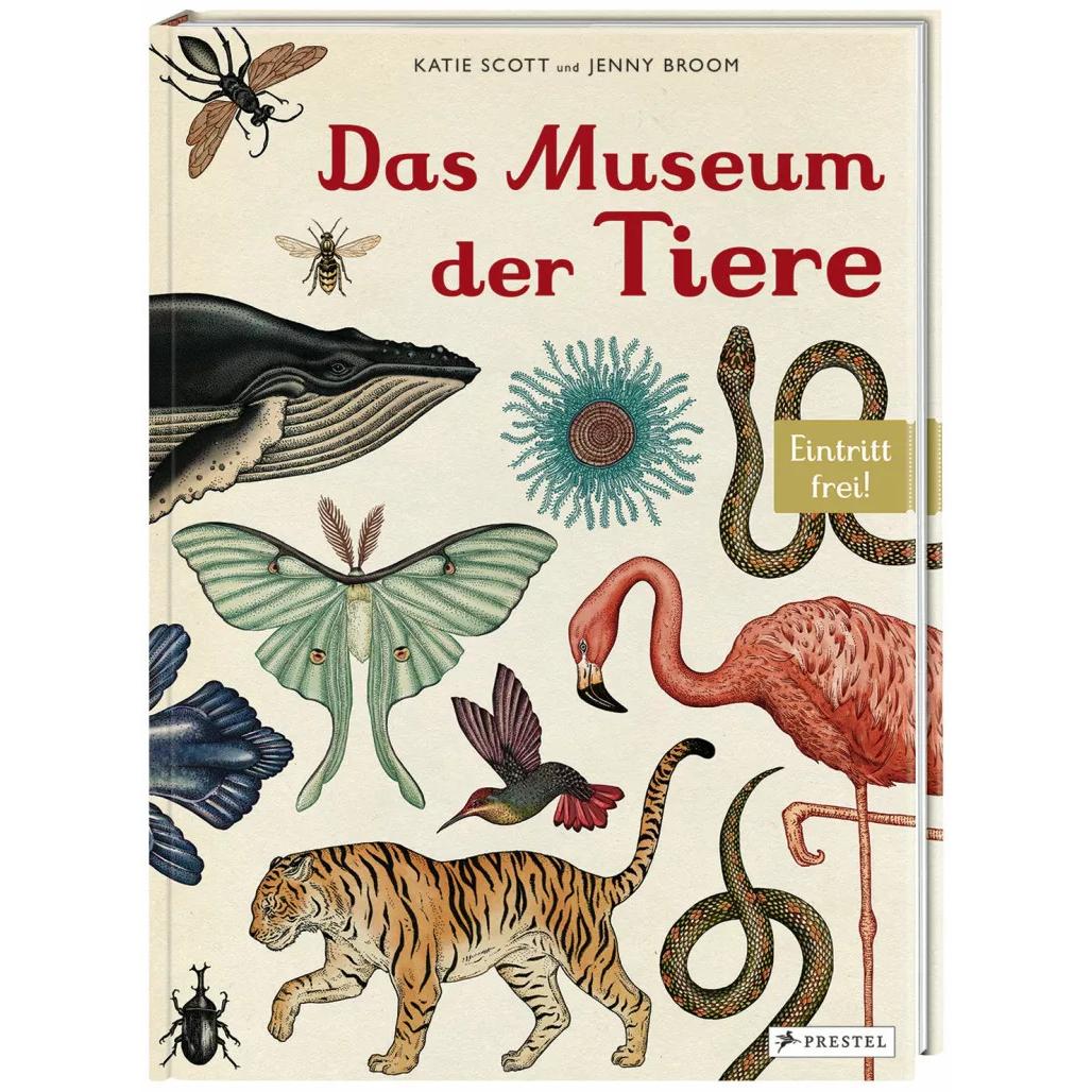 Das Museum der Tiere, Kinderbücher von Jenny Broom, Katie Scott