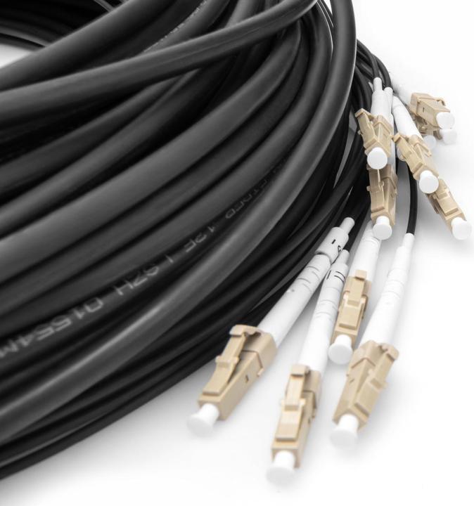 Produktbild Digitus Vorkonfektionierte Glasfaser Universal Breakout Kabel, Multimode OM4, 12 Fasern, LC/UPC - LC/UPC (LSOH, CAT6, 50 m)