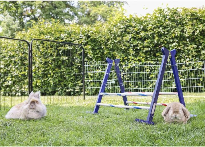 Actual product image Kerbl Combi jump (Agility)