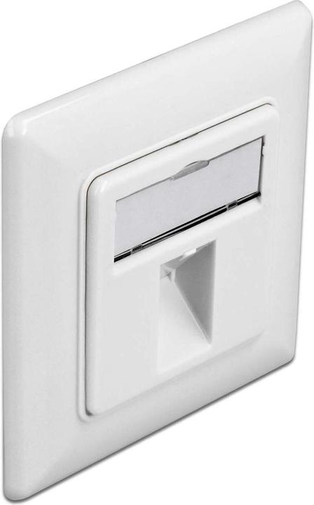 Delock Montageset 1 Port Keystone