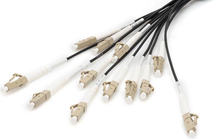 Produktbild Digitus Vorkonfektionierte Glasfaser Universal Breakout Kabel, Multimode OM4, 12 Fasern, LC/UPC - LC/UPC (LSOH, CAT6, 50 m)